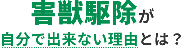 ネズミ駆除が自分で出来ない理由とは?