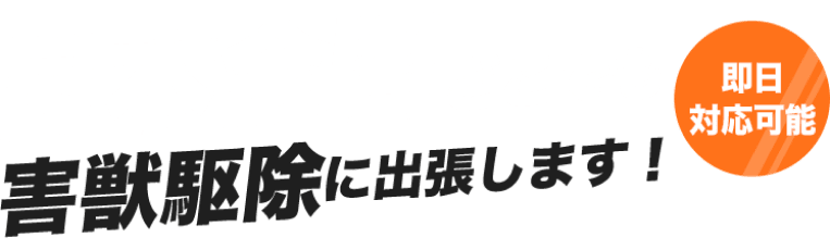 日本全国どこでもネズミ駆除に出張します!即日対応可能