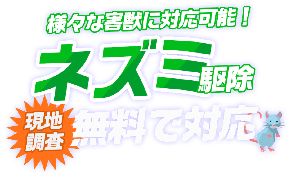 様々なネズミに対応可能!ネズミ駆除 現地調査 無料で対応